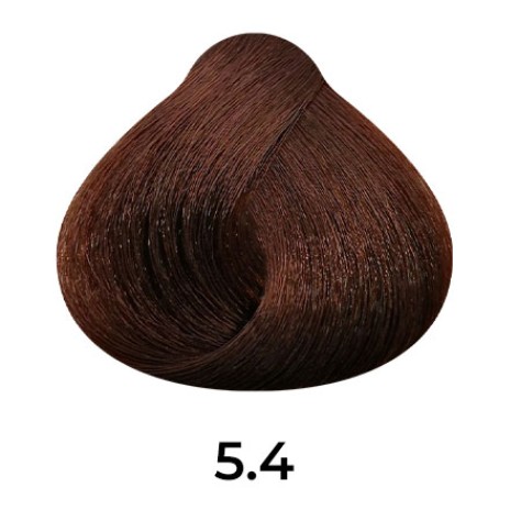Βαφή Μαλλιών Fleir Luxury με λάδι Argan 100ml ΠΥΡΟΞΑΝΘΑ